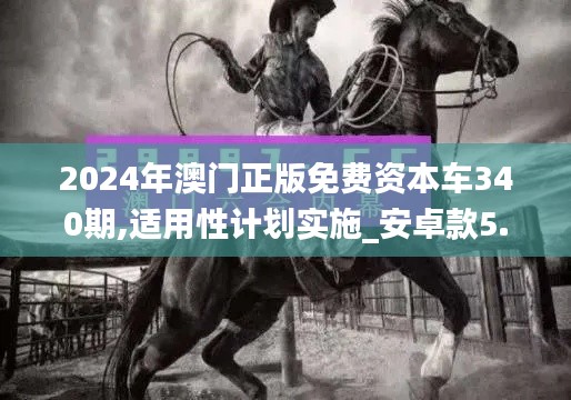 2024年澳门正版免费资本车340期,适用性计划实施_安卓款5.564