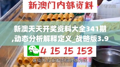 新澳天天开奖资料大全341期,动态分析解释定义_战略版3.991