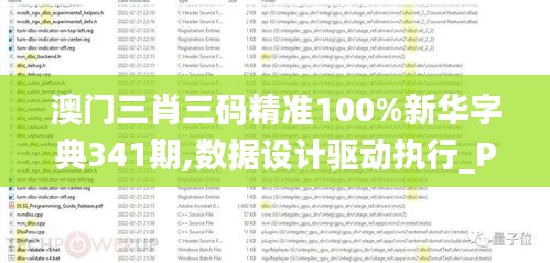 澳门三肖三码精准100%新华字典341期,数据设计驱动执行_PT5.653