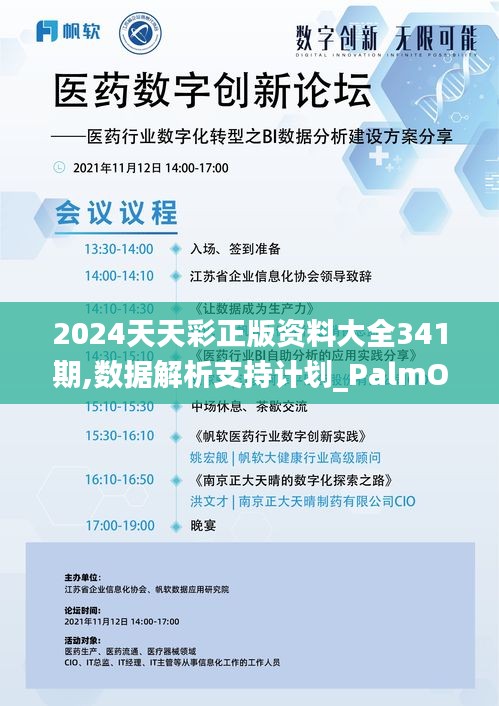 2024天天彩正版资料大全341期,数据解析支持计划_PalmOS17.790