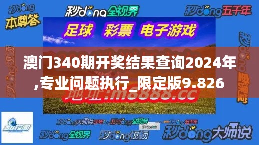 澳门340期开奖结果查询2024年,专业问题执行_限定版9.826