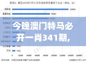 今晚澳门特马必开一肖341期,适用性执行设计_C版12.437