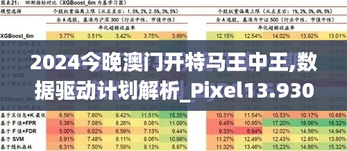 2024今晚澳门开特马王中王,数据驱动计划解析_Pixel13.930