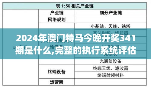 2024年澳门特马今晚开奖341期是什么,完整的执行系统评估_Windows4.530