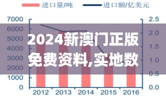 2024新澳门正版免费资料,实地数据执行分析_战略版6.117