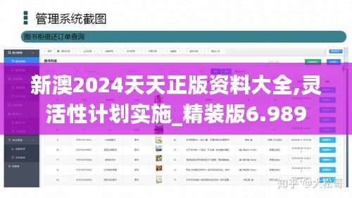 新澳2024天天正版资料大全,灵活性计划实施_精装版6.989