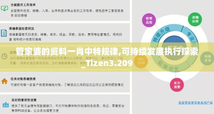 管家婆的资料一肖中特规律,可持续发展执行探索_Tizen3.209