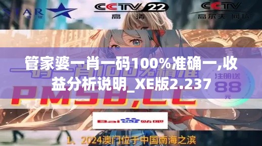 管家婆一肖一码100%准确一,收益分析说明_XE版2.237