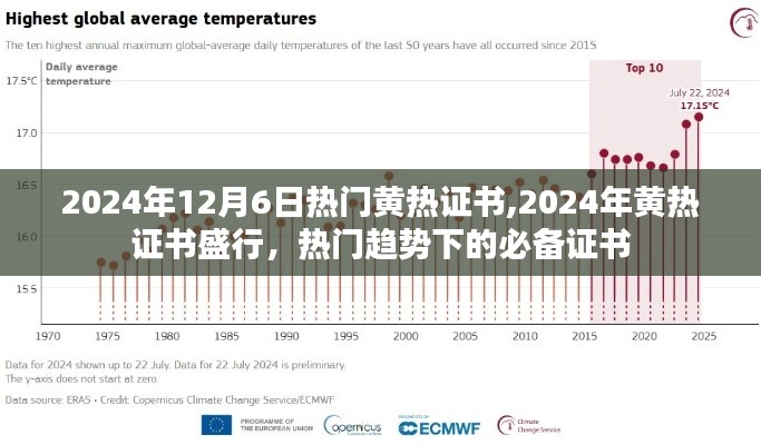 黄热证书盛行趋势，2024年必备证书引领潮流