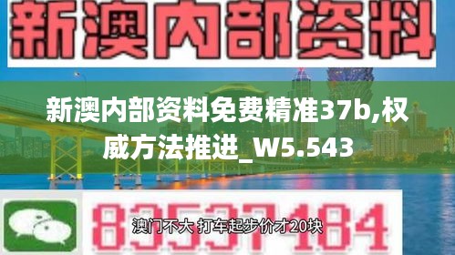 新澳内部资料免费精准37b,权威方法推进_W5.543