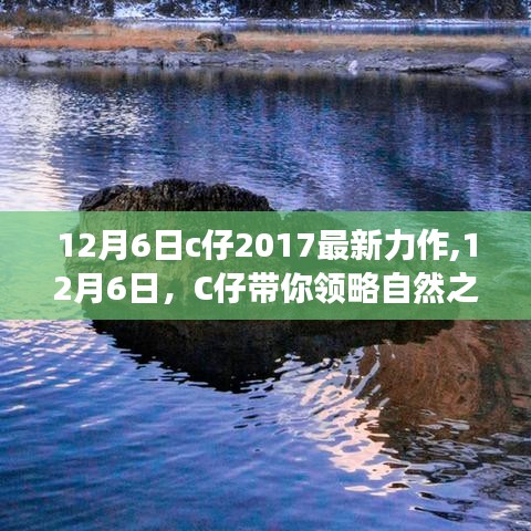 C仔带你探寻自然之美，一场心灵旅行的奇妙启程 12月6日最新力作