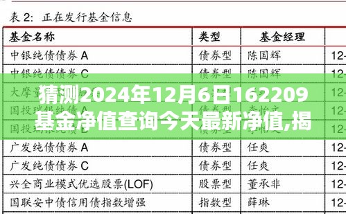 揭秘特色小店与基金走向，最新净值预测与探寻今日净值动向的基金分析（针对日期，2024年12月6日）