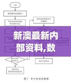 新澳最新内部资料,数据引导计划设计_Deluxe1.380