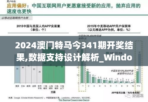 2024澳门特马今341期开奖结果,数据支持设计解析_Windows13.509