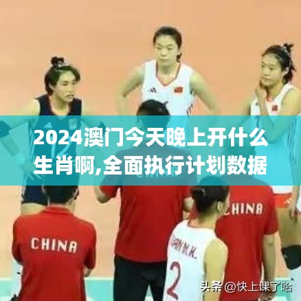 2024澳门今天晚上开什么生肖啊,全面执行计划数据_R版6.829