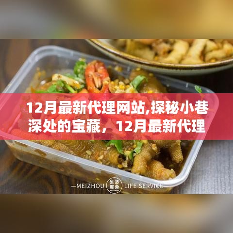 探秘宝藏小店，12月最新代理网站独特小店推荐