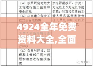 4924全年免费资料大全,全面分析解释定义_手游版13.205