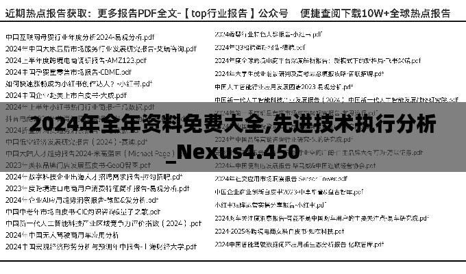 2024年全年资料免费大全,先进技术执行分析_Nexus4.450