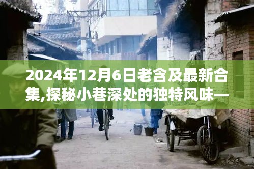 独家揭秘，老含小店最新合集——探寻小巷深处的独特风味，2024年独家报道