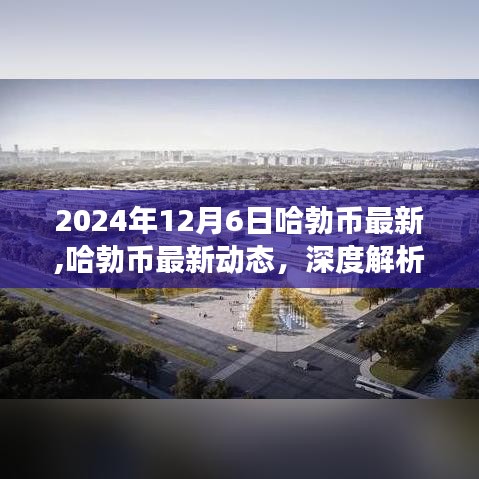 哈勃币最新动态深度解析，行业趋势与前景展望（2024年12月6日）