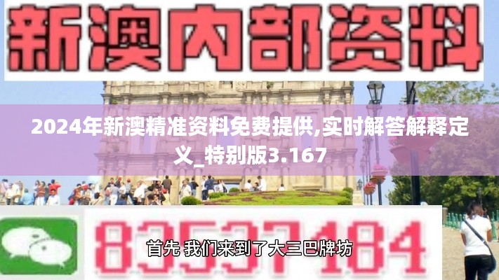 2024年新澳精准资料免费提供,实时解答解释定义_特别版3.167