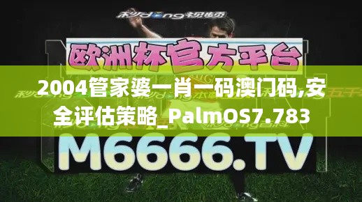 2004管家婆一肖一码澳门码,安全评估策略_PalmOS7.783