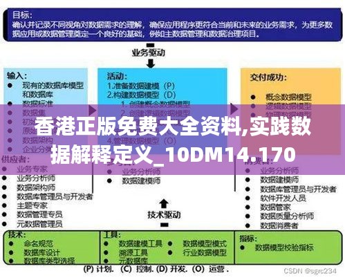 香港正版免费大全资料,实践数据解释定义_10DM14.170