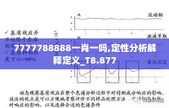 7777788888一肖一吗,定性分析解释定义_T8.877