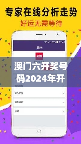 澳门六开奖号码2024年开奖记录,实地验证数据设计_网页款1.690