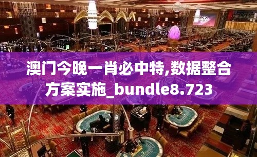 澳门今晚一肖必中特,数据整合方案实施_bundle8.723