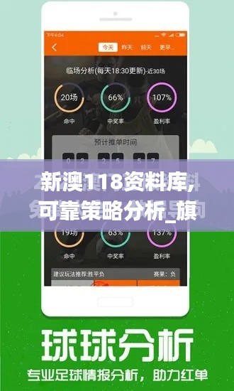 新澳118资料库,可靠策略分析_旗舰款7.920