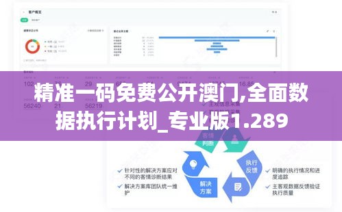 精准一码免费公开澳门,全面数据执行计划_专业版1.289