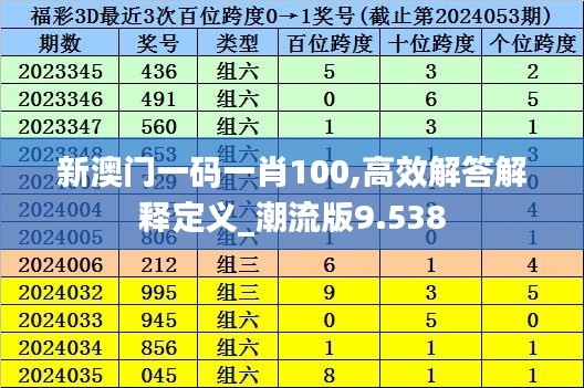 新澳门一码一肖100,高效解答解释定义_潮流版9.538