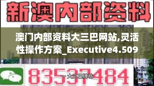 澳门内部资料大三巴网站,灵活性操作方案_Executive4.509