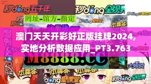 澳门天天开彩好正版挂牌2024,实地分析数据应用_PT3.763