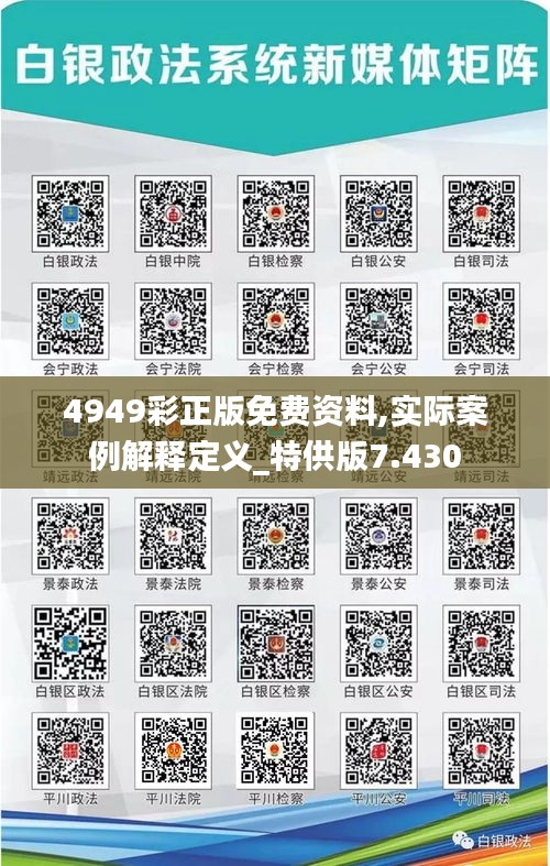 4949彩正版免费资料,实际案例解释定义_特供版7.430