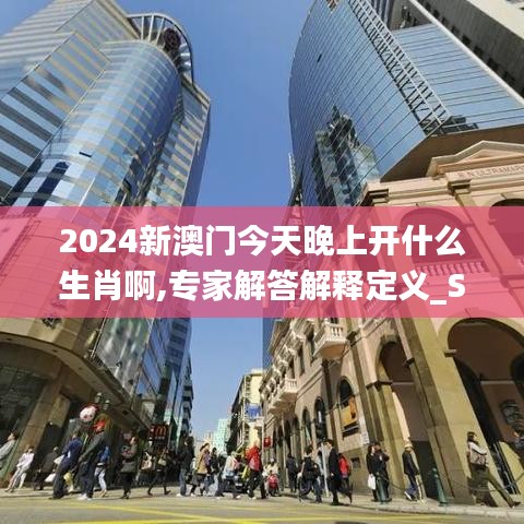 2024新澳门今天晚上开什么生肖啊,专家解答解释定义_SP2.999