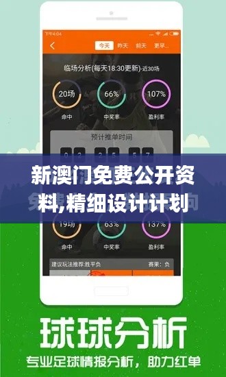 新澳门免费公开资料,精细设计计划_挑战版6.988