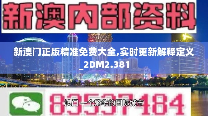 新澳门正版精准免费大全,实时更新解释定义_2DM2.381