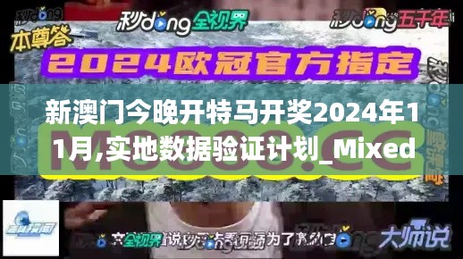 新澳门今晚开特马开奖2024年11月,实地数据验证计划_Mixed5.478