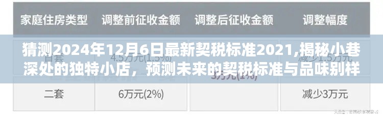 揭秘未来契税标准走向与小巷深处的独特风情小店，预测2024年最新契税标准展望