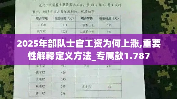 2025年部队士官工资为何上涨,重要性解释定义方法_专属款1.787