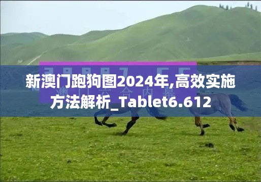 新澳门跑狗图2024年,高效实施方法解析_Tablet6.612