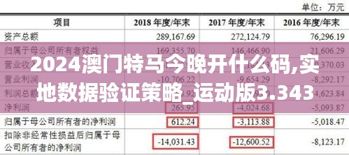 2024澳门特马今晚开什么码,实地数据验证策略_运动版3.343