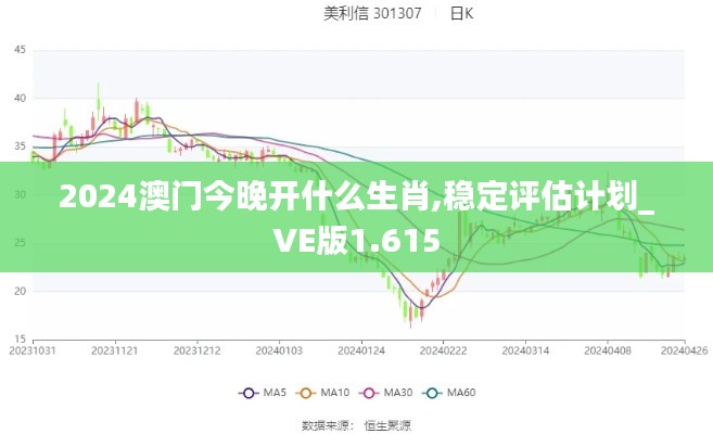 2024澳门今晚开什么生肖,稳定评估计划_VE版1.615