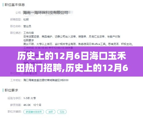 海口玉禾田热门招聘深度解析，特性、体验、竞品对比与用户洞察的全方位评测报告