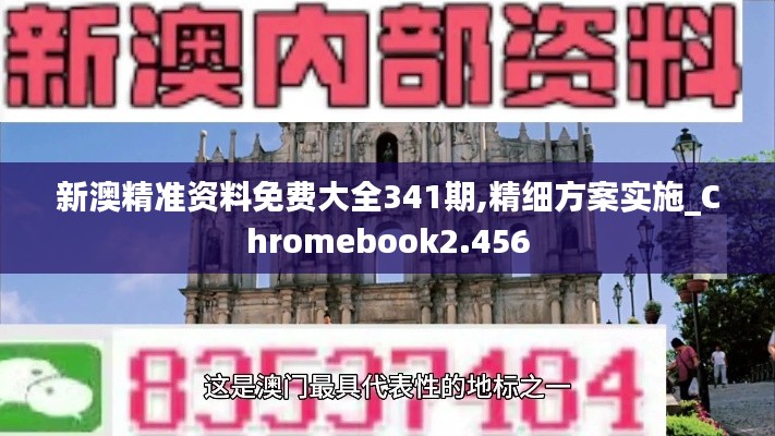 新澳精准资料免费大全341期,精细方案实施_Chromebook2.456