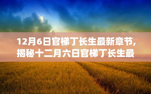 揭秘十二月六日官梯丁长生最新章节深度解析与要点解读