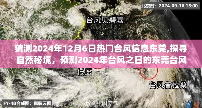 2024年台风预测，东莞探寻自然秘境的台风旅行奇遇在台风之日揭晓