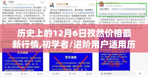 历史上的12月6日孜然价格行情概览与全攻略，适合初学者与进阶用户参考